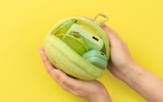 SMISKI Cushion Pouch - Daily Comfort