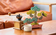 Play Plants Bonsai Puzzles - Travel Pick