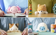 Posture Pal - Desk Buddy
