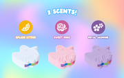 Rainbomb Unicorn - Cute Display
