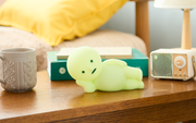 SMISKI Touch Light Vol. 2 - Daily Choice