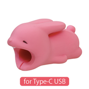 CABLE BITE for Type-C USB - Modern Accent