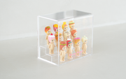 Sonny Angel Acrylic Display Case - Shelf Pick