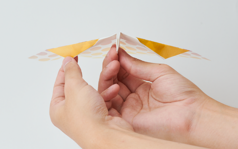 Papillon Origami Airplanes - Cute Ready
