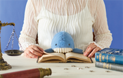 Posture Pal - Marine - Travel Pick
