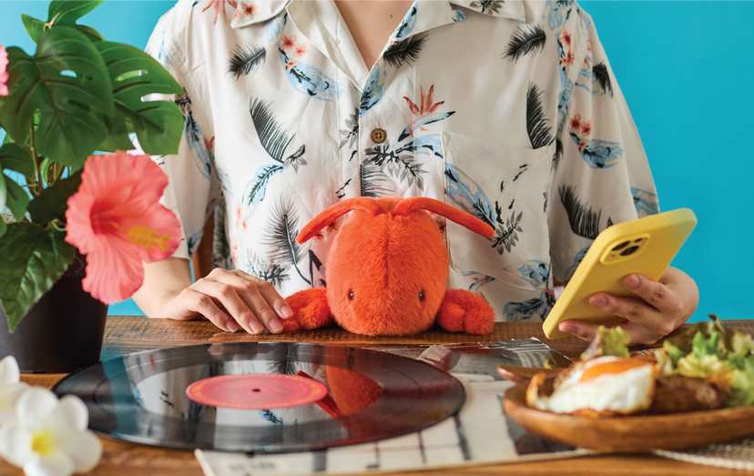 Posture Pal - Marine - Travel Pick