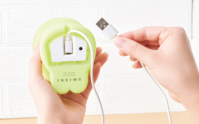 SMISKI Touch Light - Gift Accent