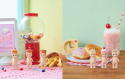Snack Series - Gift Ready