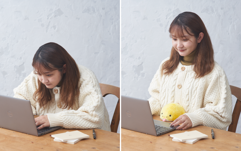 Posture Pal - Shelf Choice