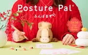 Posture Pal - Travel Carry