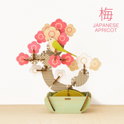 Play Plants Bonsai Puzzles - Travel Pick