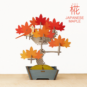 Play Plants Bonsai Puzzles - Travel Pick